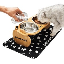 Tilted Elevated Cat Food Bowls Set: Raised Pet Dishes for Cats  Puppy