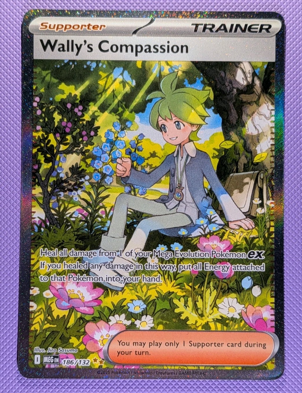 Wally's Compassion 186/132 Me01: Mega Evolution Holo Pokemon TCG (NM)