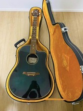 Elektrische Akustikgitarre Legend LMB-25 grün Made in Korea S/N 9606