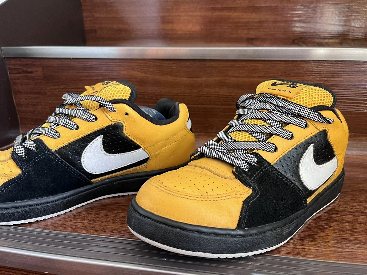 Team edition best sale nike sb