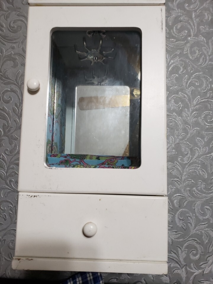 Jewelry Organizer Glass Window, Jewelry Drawer and rotating hooks-image