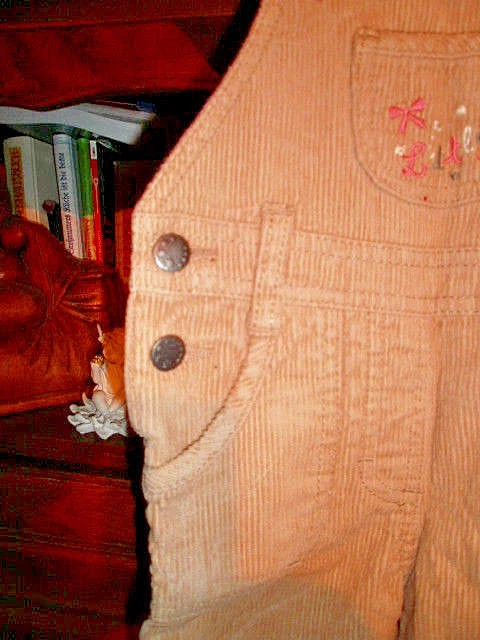 Kleinkinder - Latzhose " Knirps ",warm gefüttert Gr.74 - Bild 3 von 4