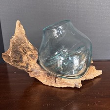 Molten Aqua Blue Tint Blown Glass Bowl With Wood Root Base Terrarium Sculpture
