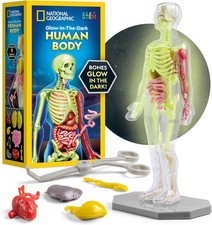 National Geographic Human Body Model for Kids That Glows in The Dark - 32-Pie...