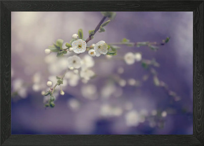 Spring trees, white flower Framed Wall Art Poster Canvas Print Picture