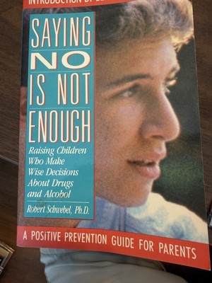 Saying No Is Not Enough: Raising Children Who Make Wise Decisions 1989 PB
