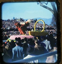 Rose Parade Pasadena CA - 3x Stereo realist slides - 1950s