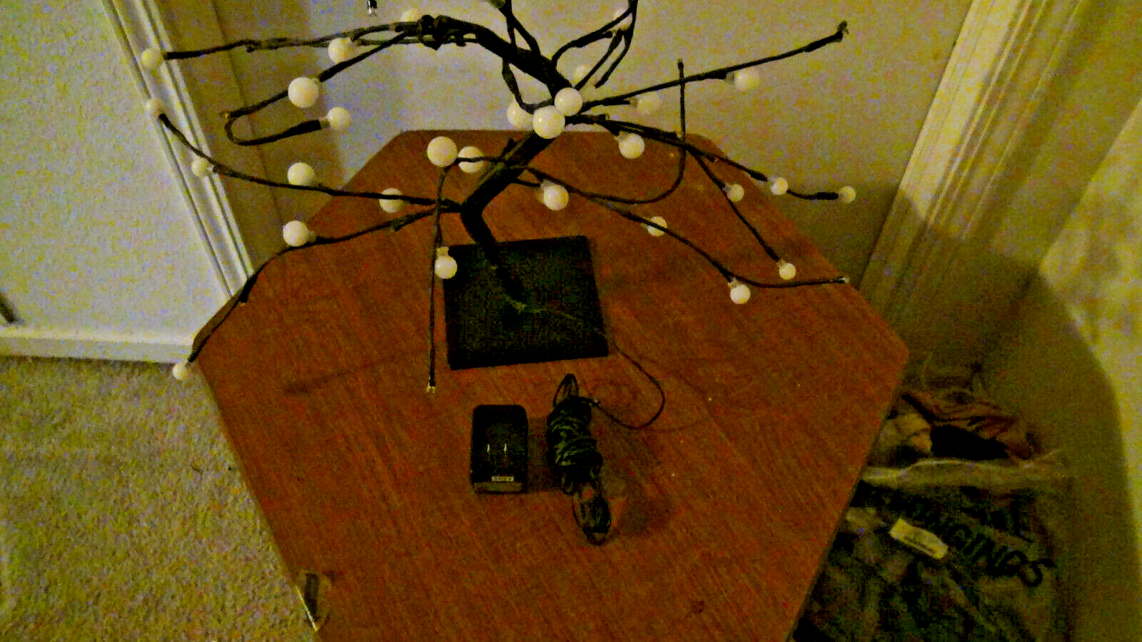 Picture 16 of 24