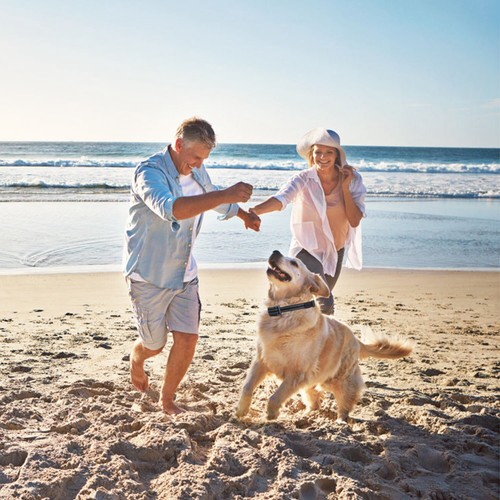 Anti Bark Collar for Small Large Dogs No Shock Barking Device Training Dogs US - Picture 6 of 10