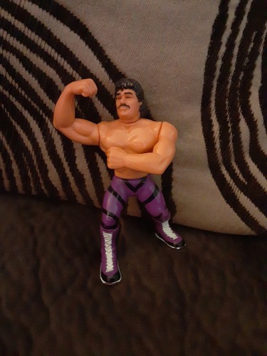 1990 WWF Hasbro Titan Sports Series 1 Rick Rude Wr...
