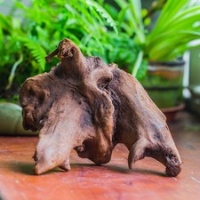 Natural driftwood for moss terrarium, miniature, micro landscape, unique 10-40,