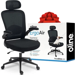 Oline ErgoAir Ergonomic Office Chair  Adjustable Lumbar Support Flip-Up Armrests
