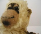 Bild 4 von 11