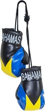 Country Flag Mini Boxing Gloves - Hanging Punching Gloves