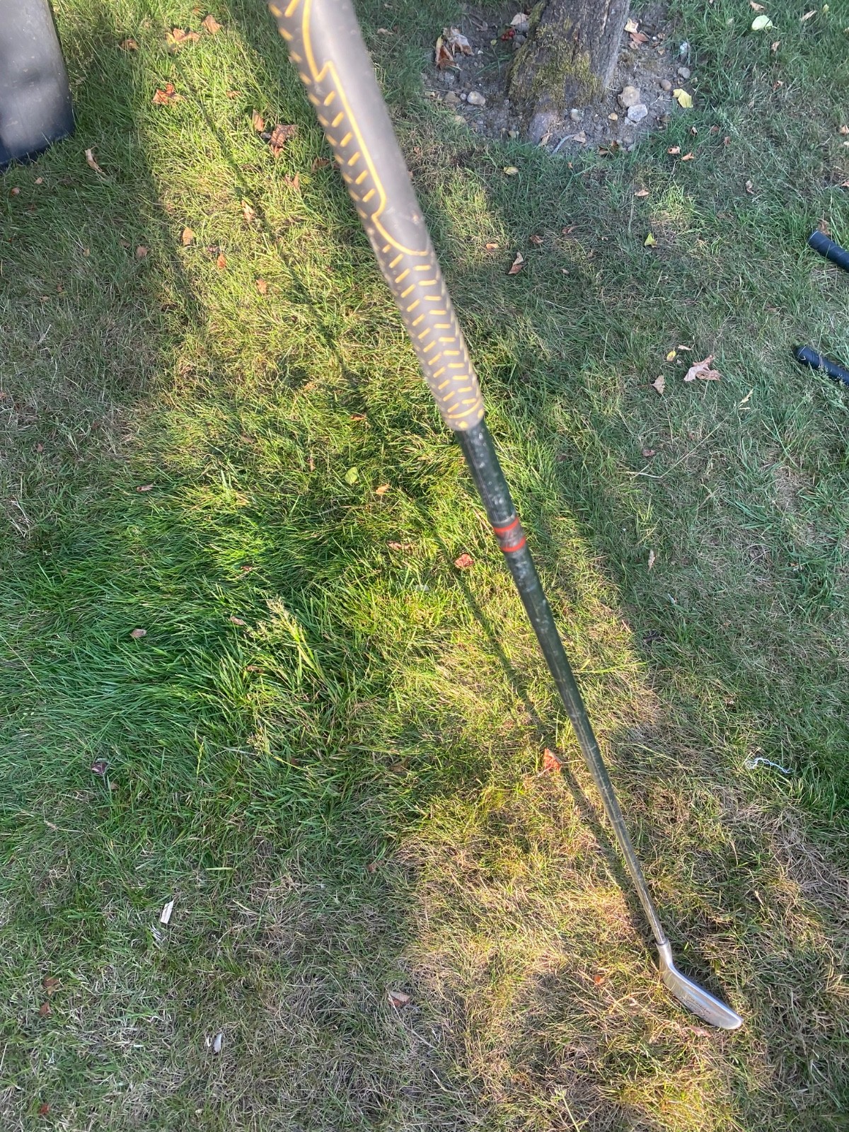 Picture 12 of 13