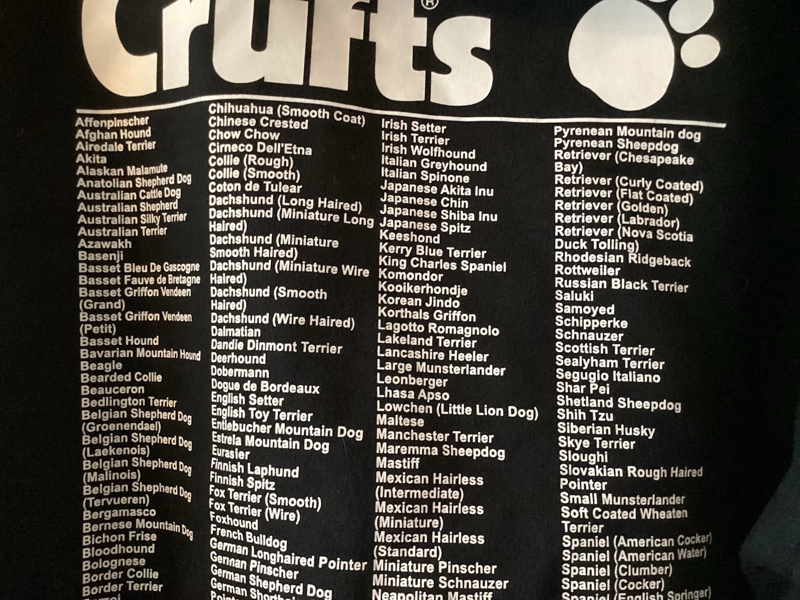 VETEMENTS Crufts Dog Show Hoodie With List Of Breeds On Rear Mens Medium