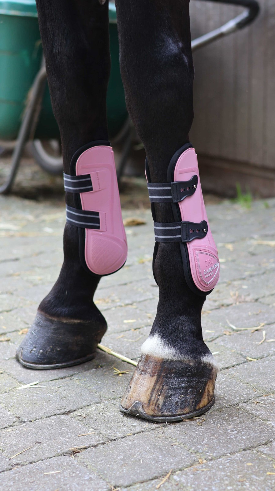 Guêtres cheval LAMI-CELL Elite avec protège-boulets pour équitation et saut