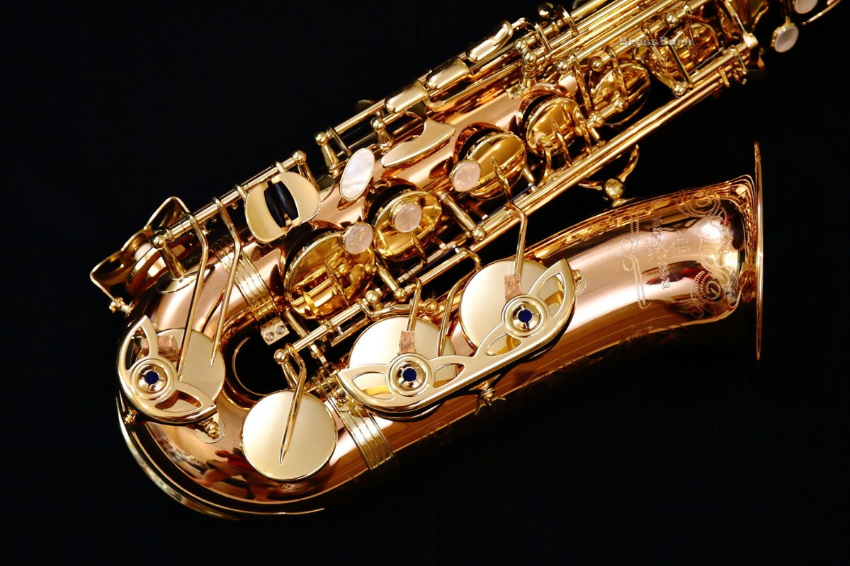 Buy 🔥NEW 2026 Yanagisawa A-WO20 (AWO20) Elite Bronze Alto Saxophone