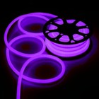 Bild 61 von 69