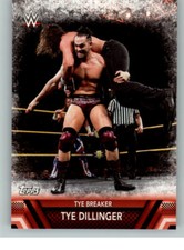 2017 WWE Then Now & Forever Finishers #43 Tye Dillinger