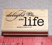 Delight in Life Rubber Stamp Single Saying Clean by Stampin Up Delight in Life