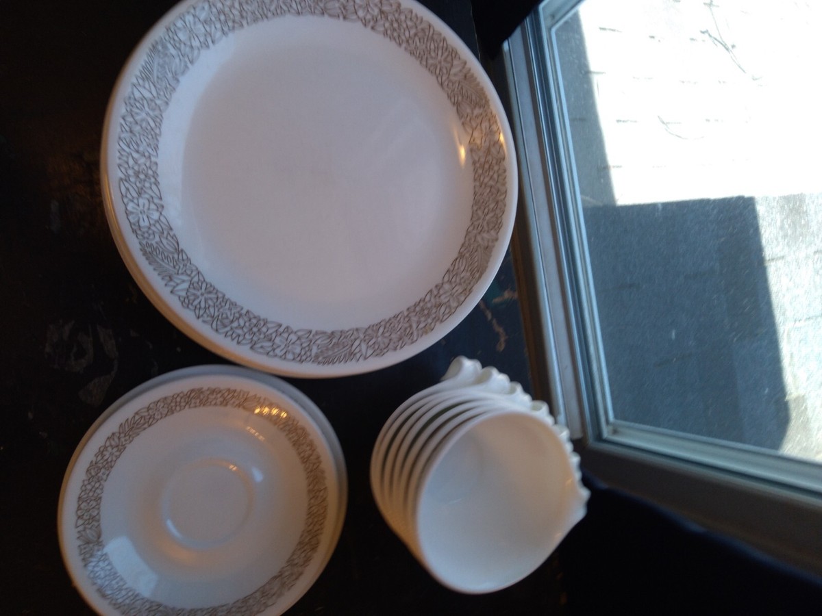 21 Piece Corelle Woodland Brown Vintage Dinner Plate's Cups Cup 