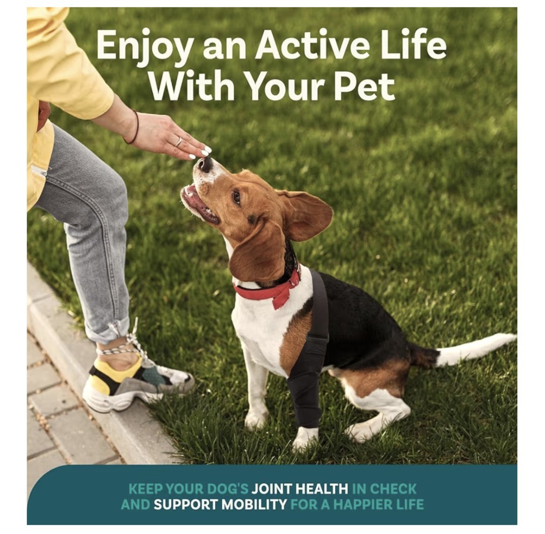 PetCove  Dog Knee Brace for Torn Acl Hind Leg (Open Box) Small 