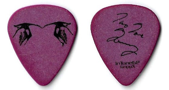 Tom Blankenship Tour Guitar Pick