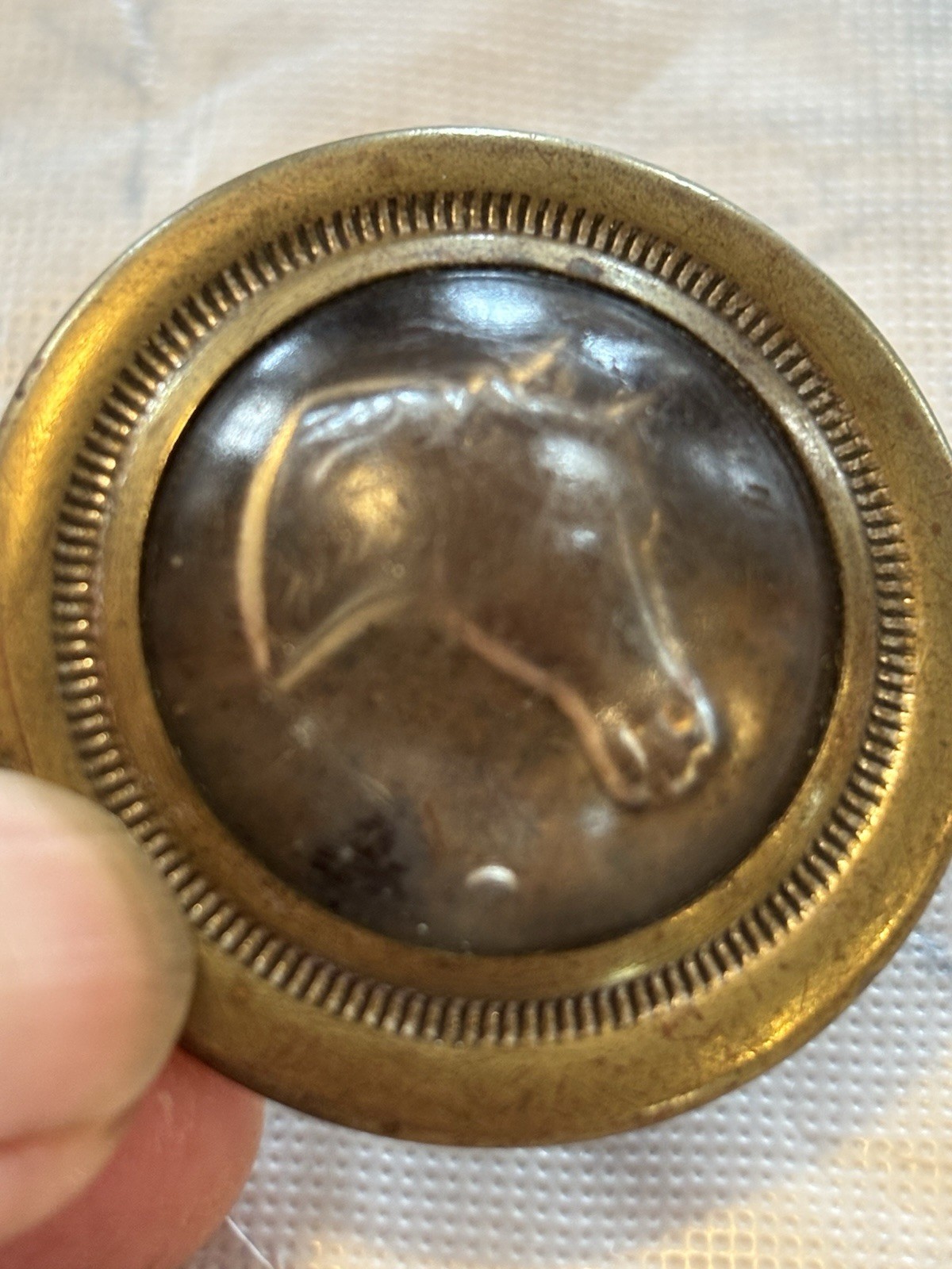 Antique Bridle Rosettes Horse heads Rare