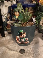 Cactus Houseplant In A Free