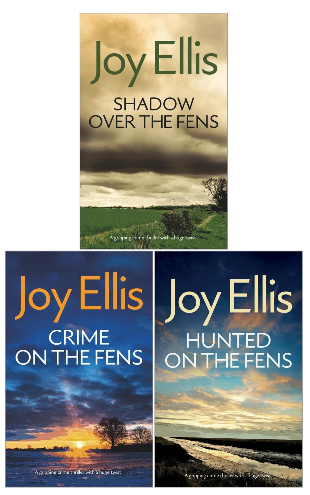 Detective Nikki Galena Series 1-3 Books Collection Set by Joy Ellis, PB NEW