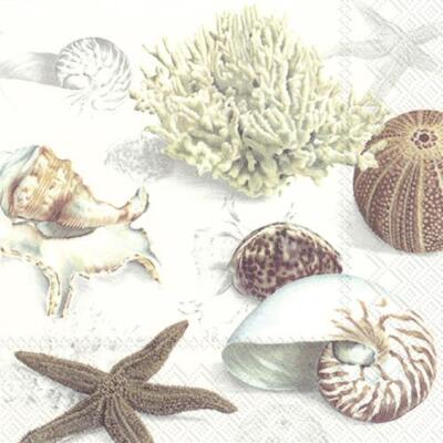 20 Servietten  Clams at the Beach Strand Muscheln Seestern Meer cream 33x33cm