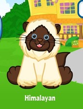 Webkinz Himalayan Virtual PET Adoption Code Only Messaged