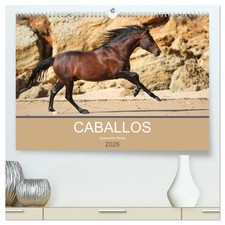 Caballos Spanische Pferde 2026 (hochwertiger Premium Wandkalender 2026 DIN A2...
