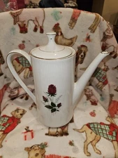 Vintage Mitterteich Bavaria Porcelain Coffee/Tea  Pot