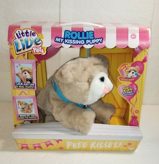 wrinkles my kissing puppy