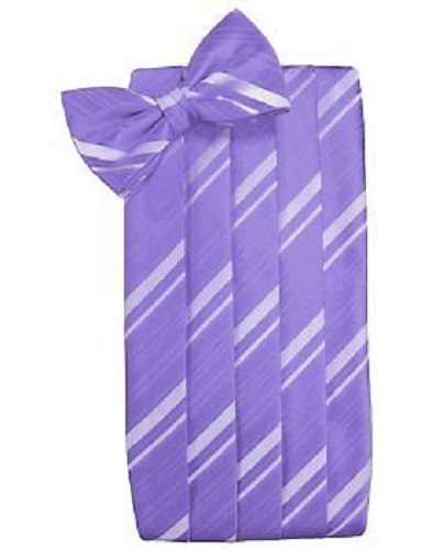 Striped Satin Cummerbund and Bowtie - Picture 20 of 31