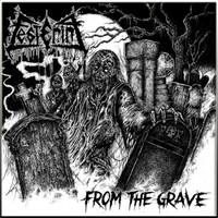 Festering - From The Grave Cd New, Old School Death Metal, Mandatory