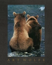 Two Bear Cubs by Art Wolfe Art Print Bears Wildlife Hunting Hunt Poster 30x24