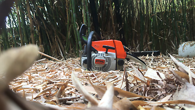 STIHL 029 (And 029 Super): A Firewood Saw At A Good Price