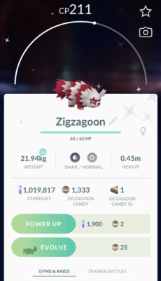 Pokemon Go New Release Shiny Galarian Zigzagoon Registered Or 30 Days Ebay