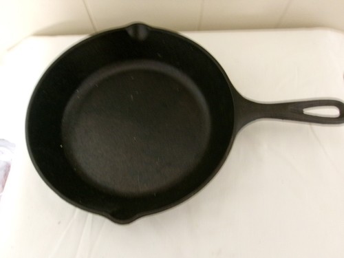 Lodge Cast Iron Skillet - Highly rated Buy It For Life recommendation