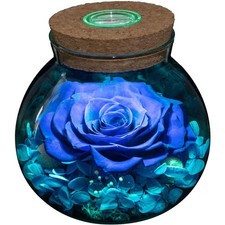 Blue Preserved Rose with LED Light, Glass Bottle