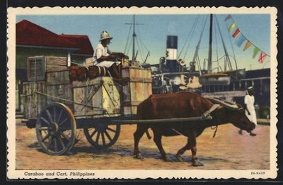 Philippines, Carabao Freight Cart, Ochsengespann, Ansichtskarte 