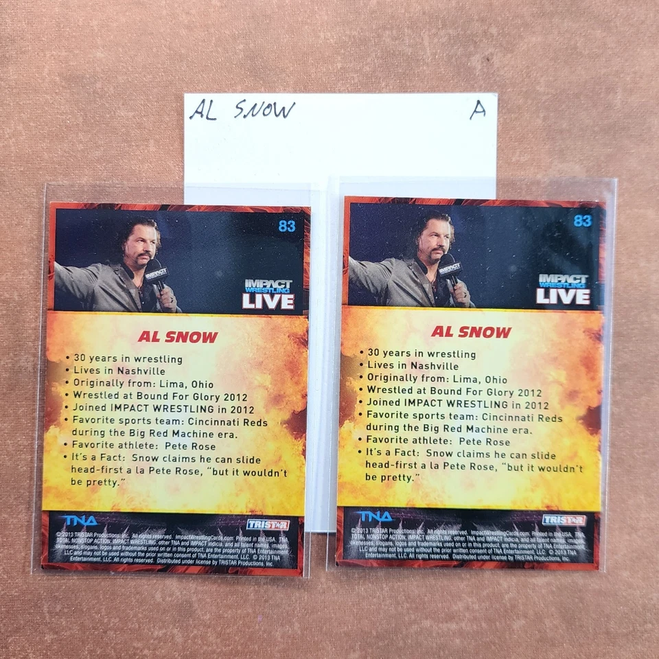 5-02-12 PWE . wwe wwf world wrestling entertainment federation lot . AL SNOW - Image 2 of 2