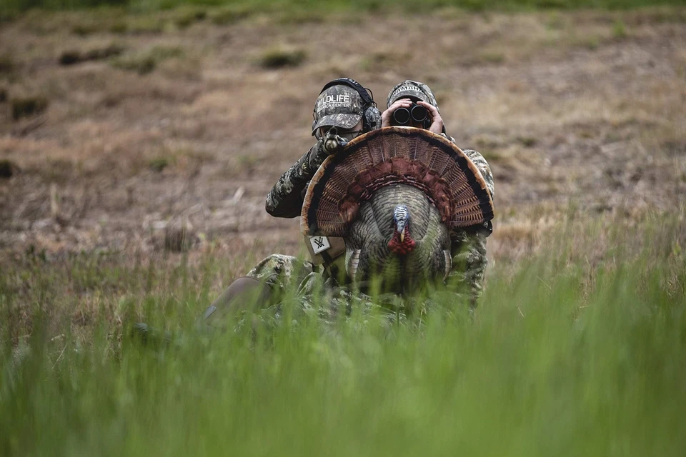 The Grind Reaper Quarter Body Strutter Decoy Lightweight Durable Realistic Co... - Image 4 of 4