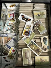 10 x Random animals (zoo+) Card Lot 1920’s-30’s VARIETY 🦋🐐🐍🐝🦅🐟🦆🐞🐅