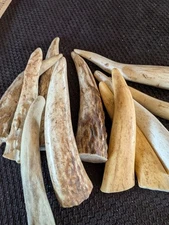 20 Pack Antler Crafting Tips * Premium Elk And Deer *  Large*  3"-4" 