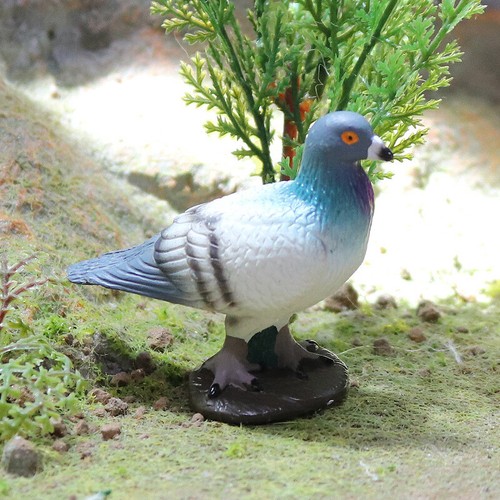 3Pcs Pigeon Birds Model Animal Figure Columba Educational Kids Toy Gift Decor - Picture 10 of 10