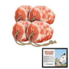 Animal Salt Lick Block 5-6 lbs Pack of 4 With Rope For Horses Deer